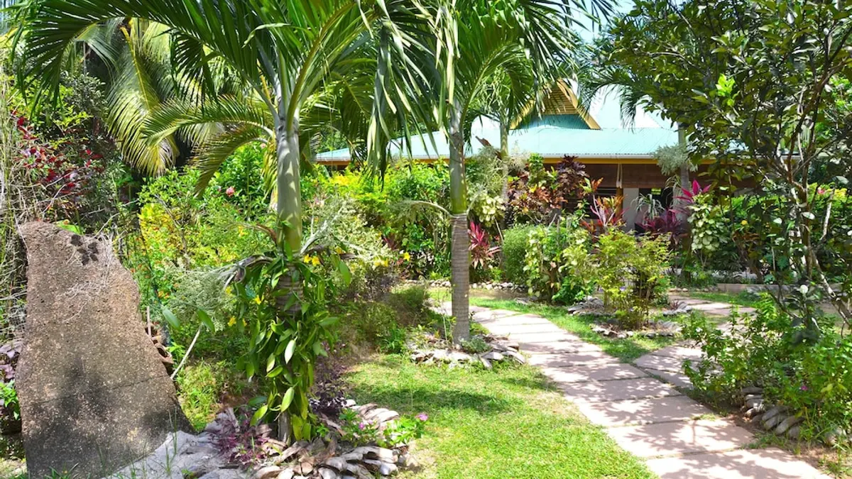 Cocotier Du Rocher, La Digue, Seychelles