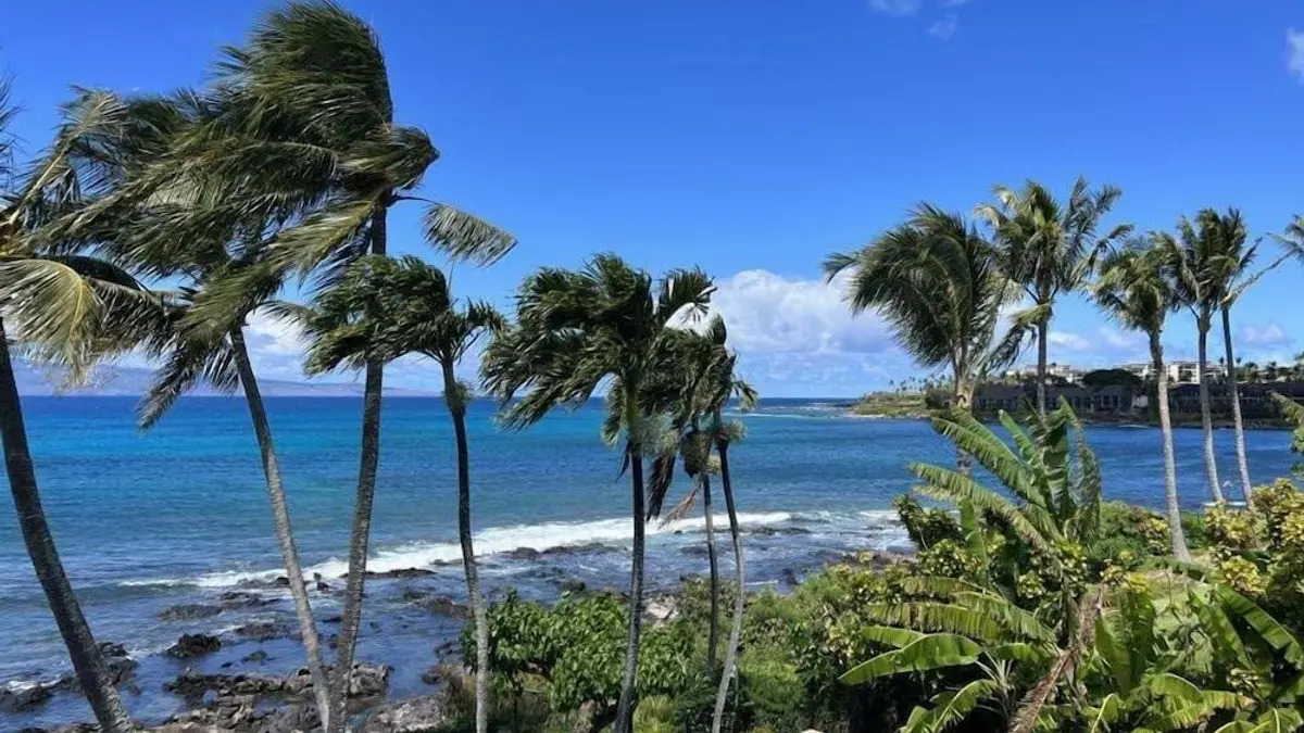Napili Point Point Oceanfront 2br Loft - Unit C2 1 Bedroom Condo, Lahaina, United States