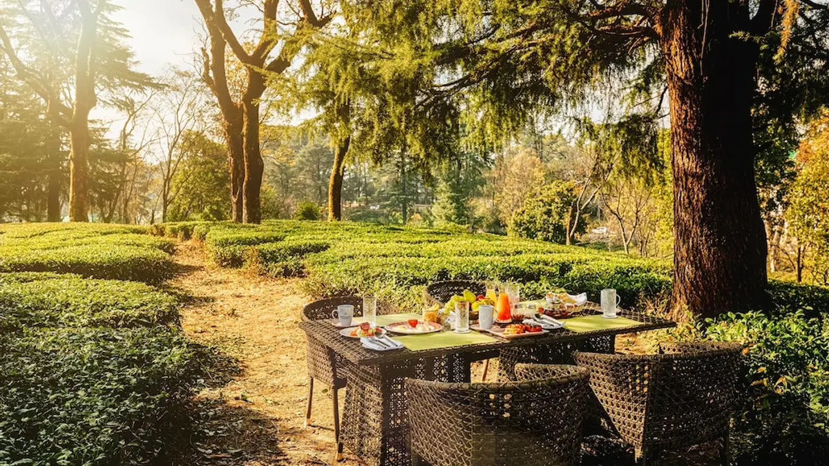 INFINITEA DAKBUNGLOW PALAMPUR, Palampur, India