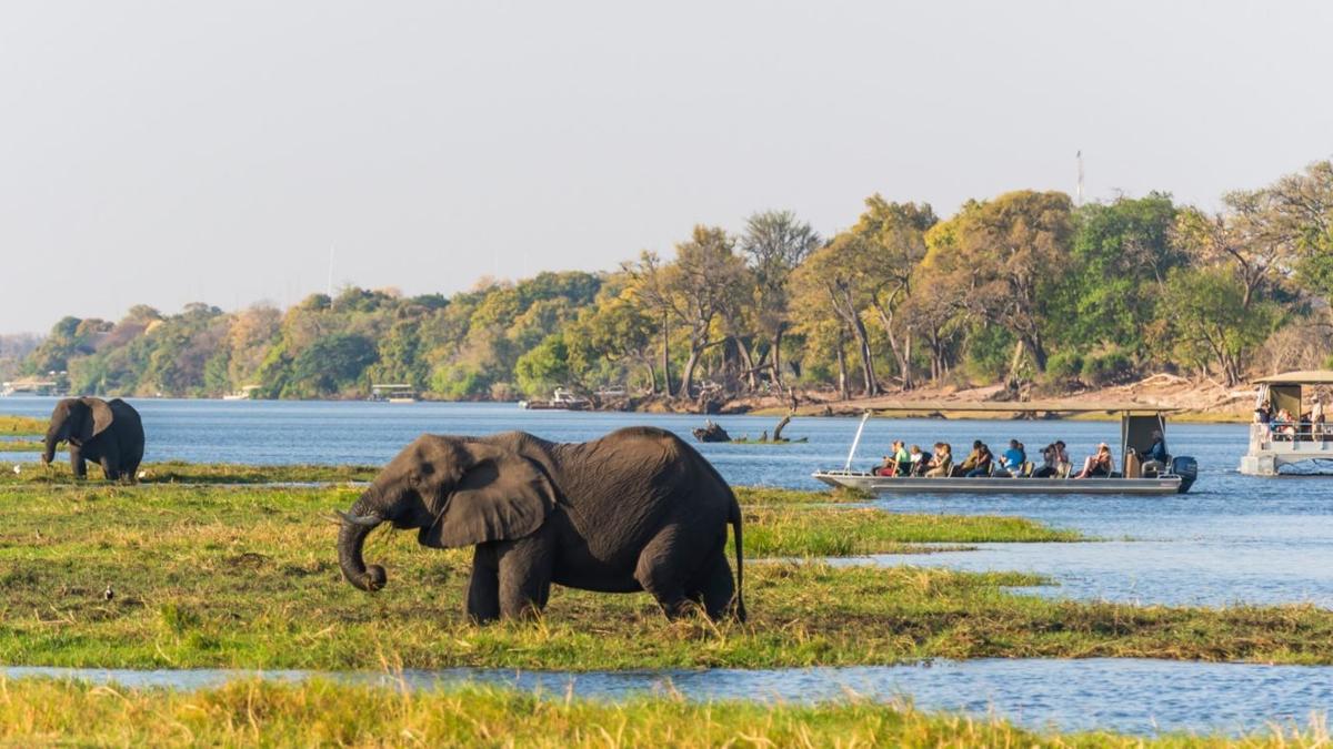 Deluxe 21-Day Ultimate Southern Africa 2027 with Cape Town, Greater Kruger, Victoria Falls & Namib Desert by 
