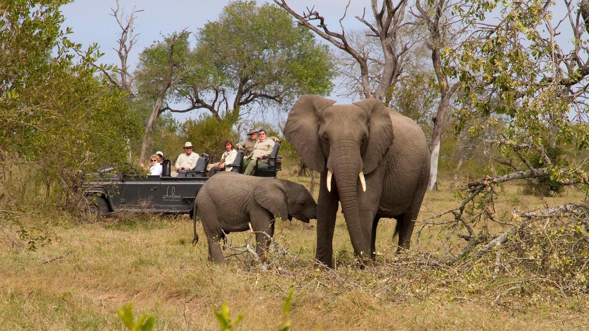 Ultra-Lux 10-Day Private South Africa Safari with Rovos Rail & All-Inclusive Sabi Sands Lodge  by 
