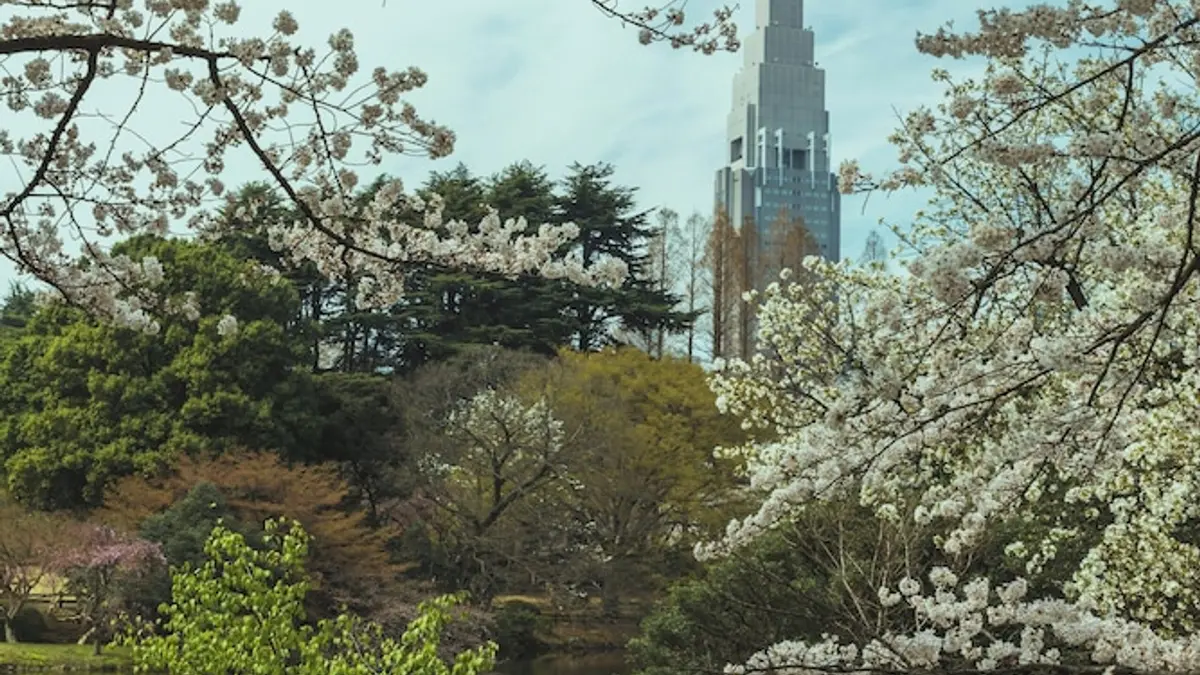 illi Tas Shinjuku, Tokyo, Japan