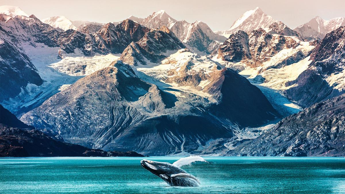 Deluxe 19-Day Canada & Alaska Rail & Sail with Rocky Mountaineer & Inside Passage Cruise by 