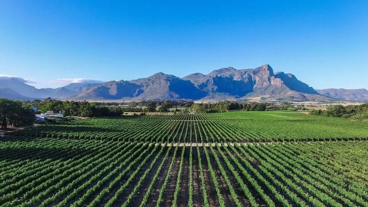 Lynx Wine Estate, Franschhoek, South Africa