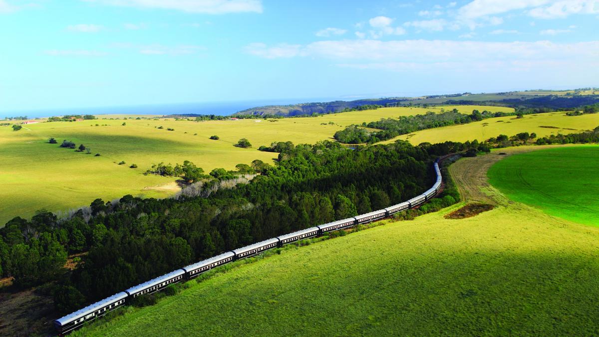 Ultra Lux South Africa 10-Day Safari with Rovos Rail, The Twelve Apostles & Sabi Sabi Bush Lodge by Luxury Escapes Tours