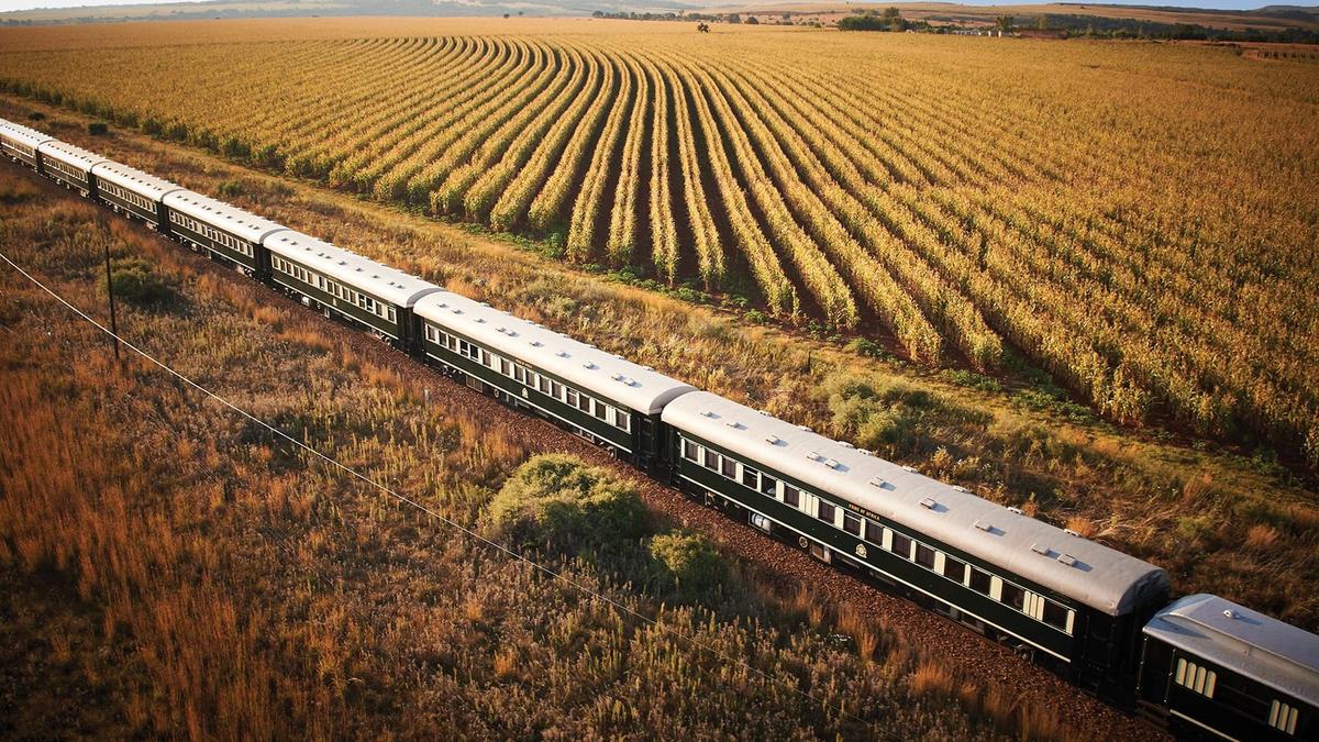 Ultra Lux 10-Day Rovos Rail Journey through South Africa, Zimbabwe & Botswana with Chobe Game Lodge & River Safari by 