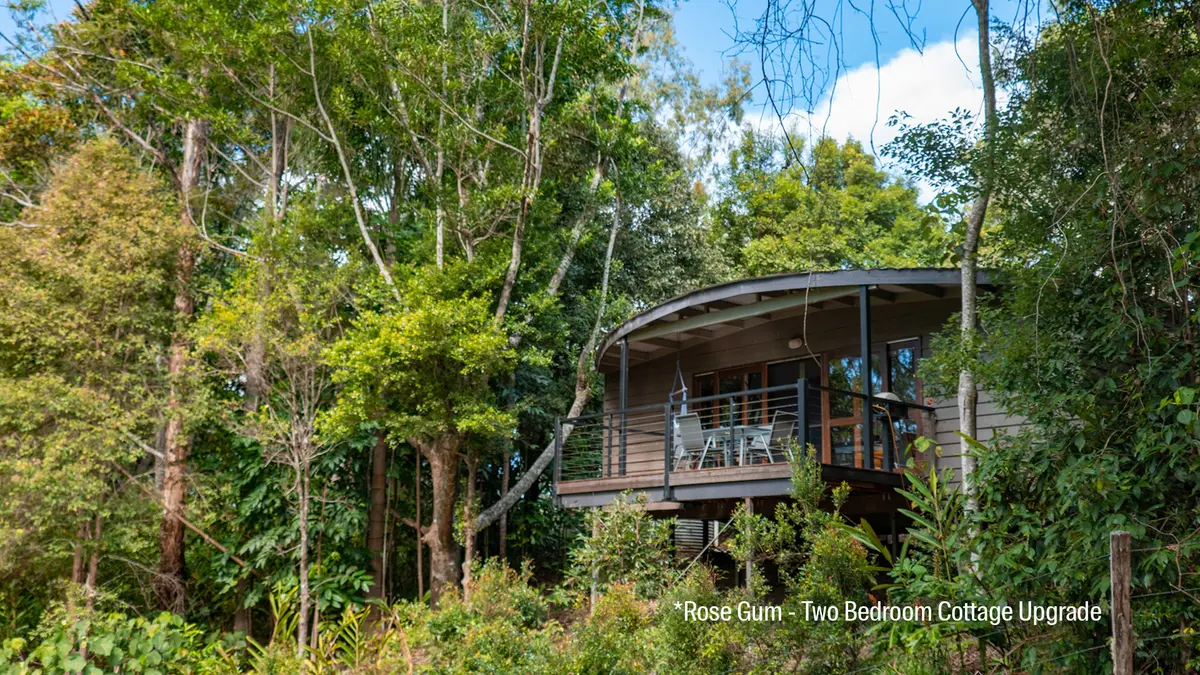 Whispering Valley Cottages Maleny, Maleny, Queensland