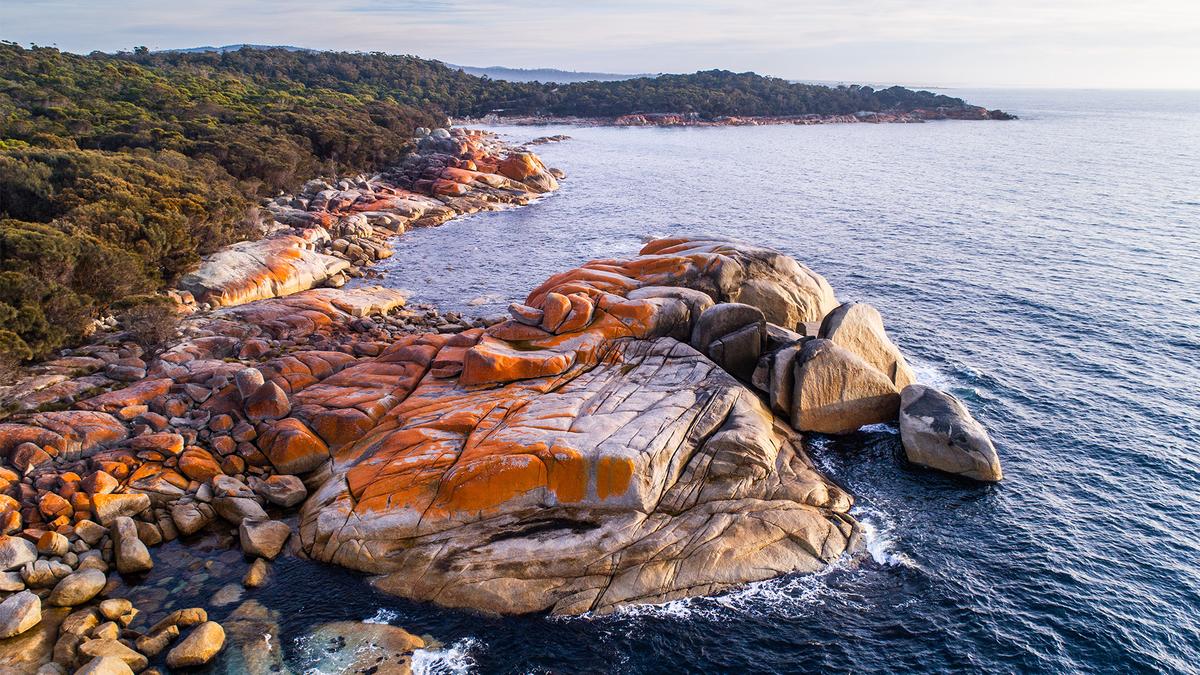 Tasmania: Bay of Fires Small-Group Hiking Tour with Boutique Farmhouse Stay, Ansons Bay & Eddystone Point Lighthouse by 