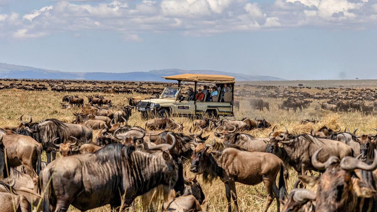 Deluxe 13-Day Kenya & Tanzania Great Migration Safari 2026 with Maasai Mara & Serengeti National Parks by 