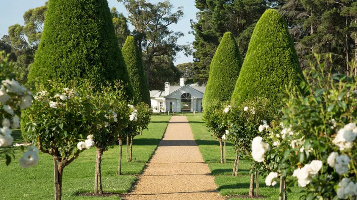 Lancemore Lindenderry Red Hill, Mornington Peninsula, Victoria