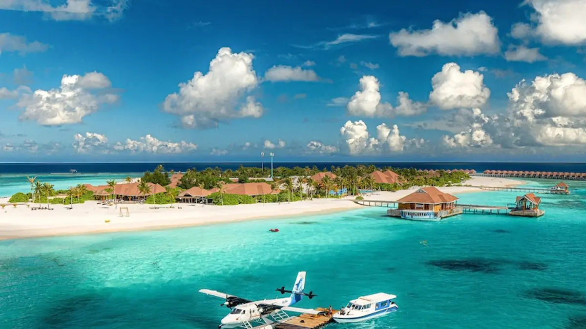Brennia Kottefaru, Kottefaru, Maldives