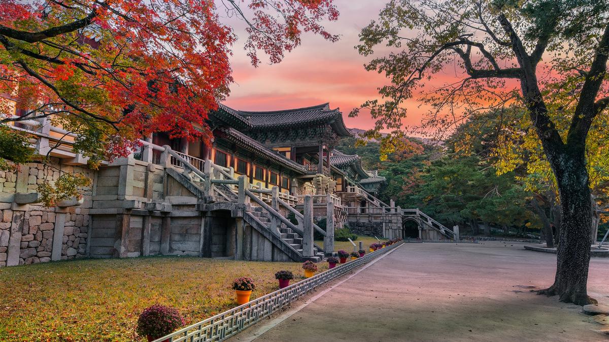 Limited Time Offer: 8-Day South Korea Highlights with Bullet Train, DMZ & Gyeongju + 4-Night Osaka Hyatt Stay by Luxury Escapes Tours