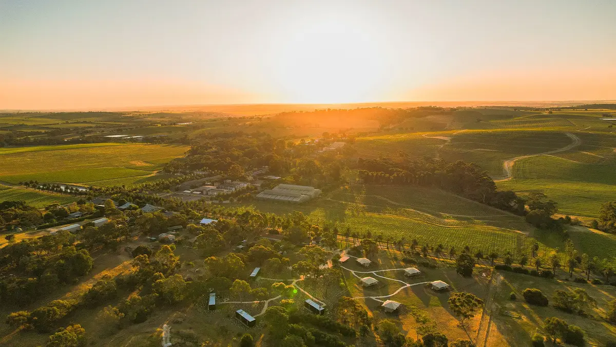 CABN X Seppeltsfield Barossa, Seppeltsfield, South Australia