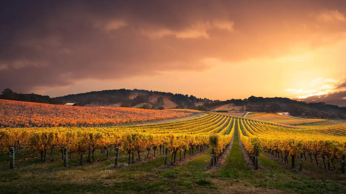 Mercure Hotel Barossa Valley, Tanunda, South Australia