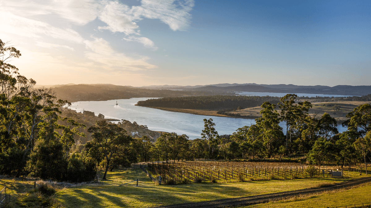4-Day Adults-Only Tasmania Deluxe Food & Wine Tour with Launceston, Hobart & Tamar Valley by 