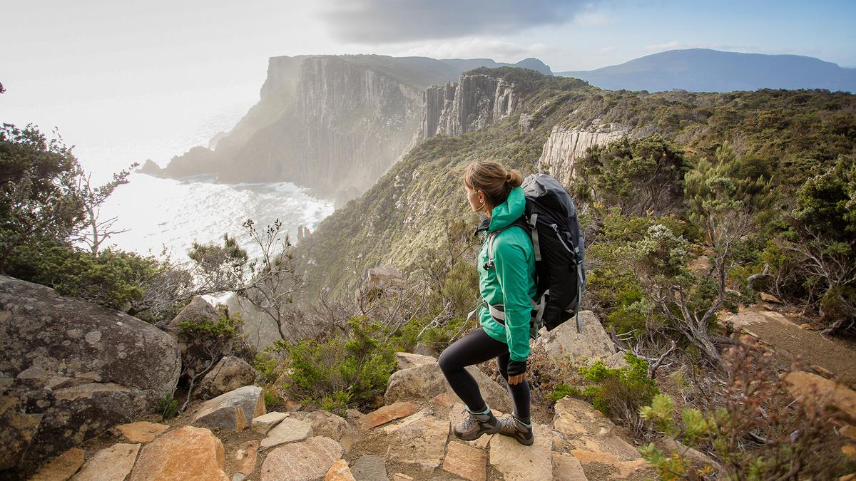 Tasman Peninsula Three Capes Walking Tour with Fortescue Bay & Wilderness Cruise by 