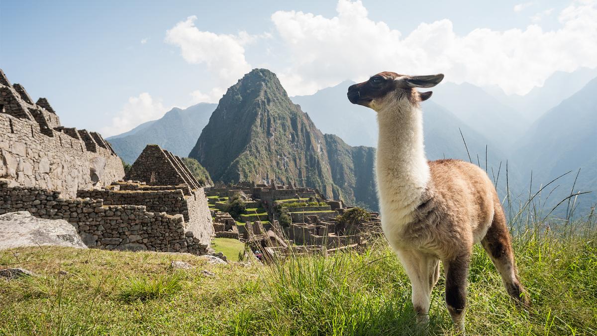 Deluxe 18-Day South America Odyssey with Iguazu Falls, Machu Picchu & Rio by 