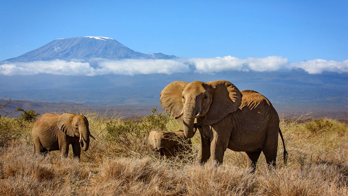 Deluxe 13-Day Kenya & Tanzania Great Migration Safari 2027 with Maasai Mara & Serengeti National Parks  by 