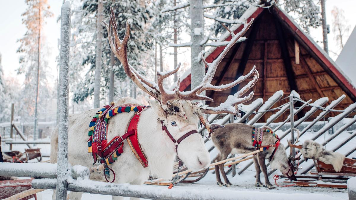 Deluxe 15-Day Christmas & New Year Finland & Norway Northern Lights Tour with Havila Fjord Cruise by 