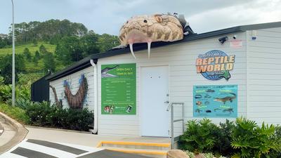Step into the World of the Reptiles with Reptile World Family Passes