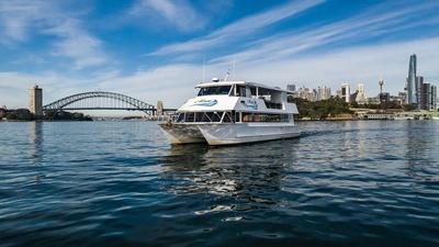 3.5-Hour Boxing Day Harbour Cruise with Free-Flow Soft Drinks & Glass of Sparkling Wine on Arrival