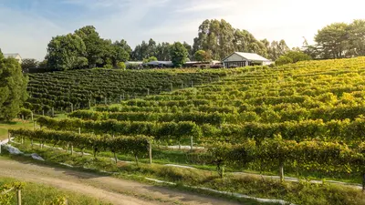 Carrajung Estate , Central Gippsland, Victoria