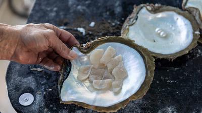 Broome: Guided Paspaley Pearl Farm Four-Hour Morning Tour with Return Transfers