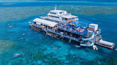Full-Day Moore Reef Tour with Buffet Lunch & 10-Minute Scenic Helicopter Flight