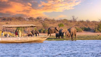 Southern Africa Safari with Five-Star Kruger Lodge Stay & Victoria Falls Sunset Cruise by Luxury Escapes Tours