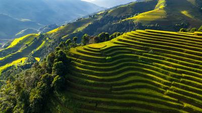 Limited Time Offer: Deluxe 17-Day Ultimate Vietnam with Sapa, Hue & Hoi An 2026 (No Solo Traveller Surcharge) by 