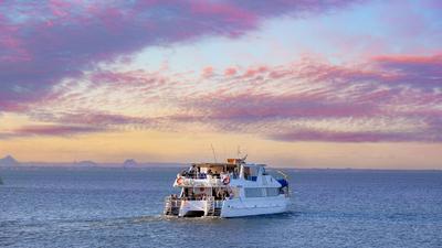 Newport: Two-Hour Moreton Bay Sunset Cruise with Drink, Grazing Board & Live Entertainment 