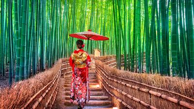 Deluxe 7-Day Japan Highlights with Tokyo, Kyoto & Osaka by 