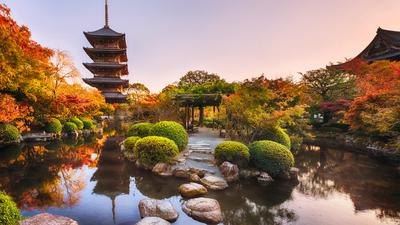 Signature Series: 7-Day Japan Exclusive Tour through Tokyo, Kyoto & Osaka with Khanh Ong by 