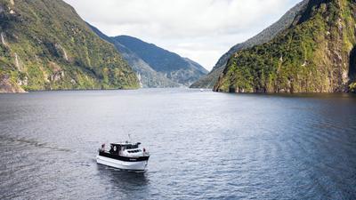 Milford Sound Business Class Experience with Scenic Cruise & Gourmet Dining