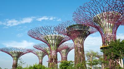 Private Half-Day City Tour with SkyPark Observation Deck, Gardens by the Bay & Return Transfers