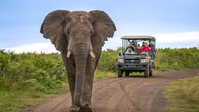 Limited Time Offer: Private 15-Day South Africa, Zimbabwe & Botswana Tour with BONUS Victoria Falls Helicopter Flight by 