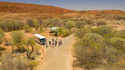 Half-Day West MacDonnell Ranges Tour with Simpsons Gap & Morning Tea at Standley Chasm