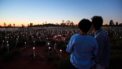 Half-Day Uluru Sunrise & Field of Light Tour with Hot Drink