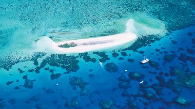 Cairns: Full-Day Cruise to Michaelmas Cay with Buffet Lunch, Glass of Sparkling & Snorkelling Equipment
