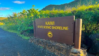 Hawaii: Honolulu Sunrise Hike of the Makapu'u Lighthouse Trail with Shuttle Transfers