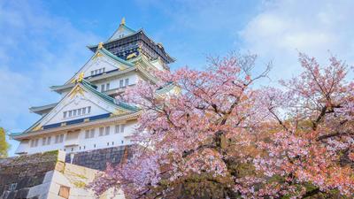 Limited Time Offer: Deluxe 9-Day Japan Cherry Blossom Season with Tokyo, Kyoto & Nikko by 
