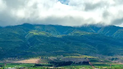 Honua Kai Hokulani Collection by KBM - 2 Units on same floor (520/529), Kaanapali, United States