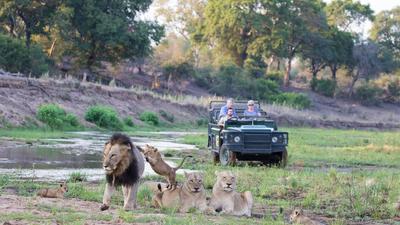 Ultra-Lux South Africa 10-Day Private Safari with Rovos Rail, Iconic Mount Nelson Luxury & All-Inclusive MalaMala Camp by 