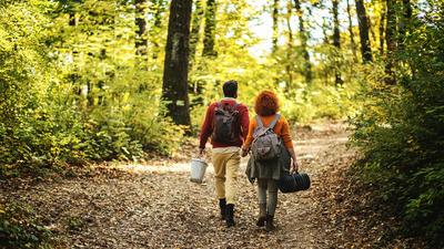 Self-Guided Mystery Picnic Experience for Two in the Dandenong Ranges