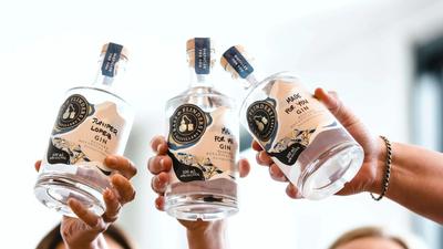 Two-Hour Gin Masterclass with Take-Home Bottle of Bespoke Gin & Cheese Platter in Dromana
