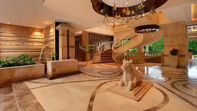 Resort Rio, Arpora, India