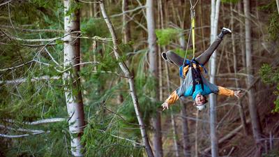 Queenstown: Soar Through the Treetops on a Moa Zipline Adventure with Four Ziplines