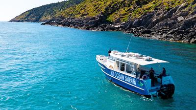 Kangaroo Island: 75-Minute Ocean Safari Cruise