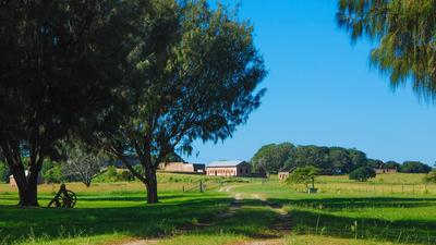 Brisbane: St Helena Island Prison Experience Cruise with Picnic Lunch