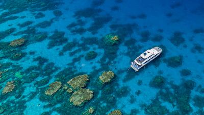 Cairns: Full-Day Outer Great Barrier Reef Snorkelling or Diving Experiences with Lunch & All Equipment